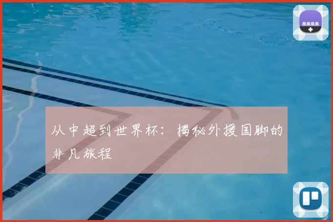 从中超到世界杯：揭秘外援国脚的非凡旅程