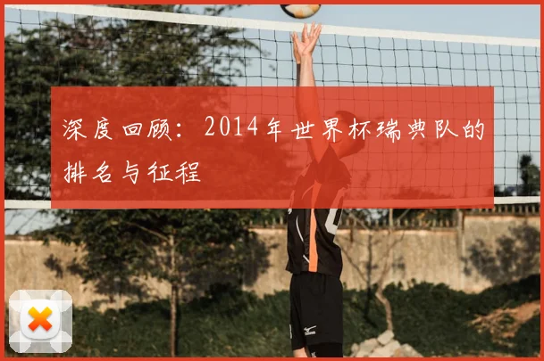 深度回顾：2014年世界杯瑞典队的排名与征程