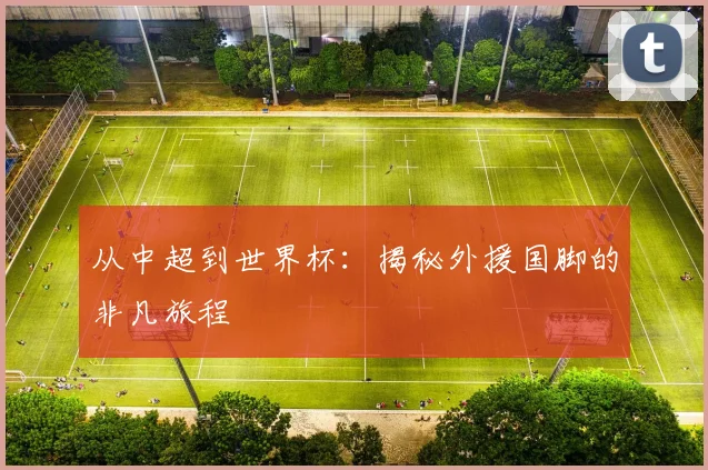 从中超到世界杯：揭秘外援国脚的非凡旅程