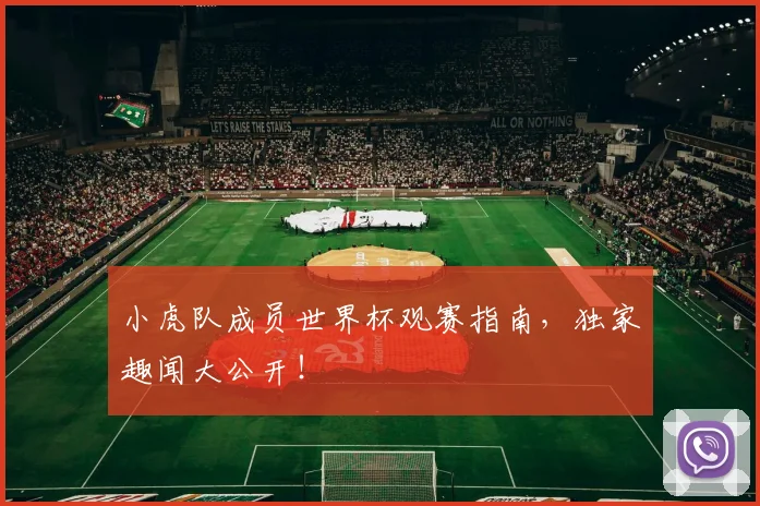 小虎队成员世界杯观赛指南，独家趣闻大公开！