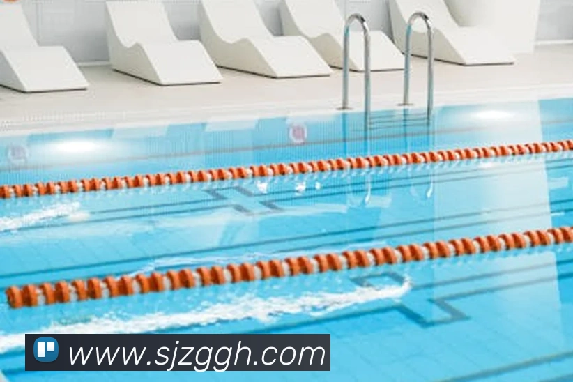 App Interface Preview