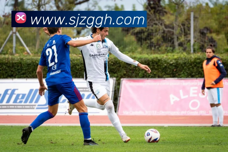 爱体育电子官方网站APP 封面图